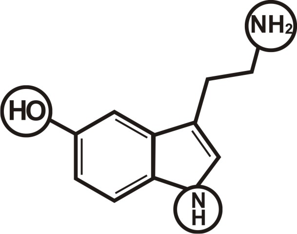 серотонин структура. серотонин формула химическая. структурная формула серотонина. серотонин гормон химическая структура. серотонин строение гормона.