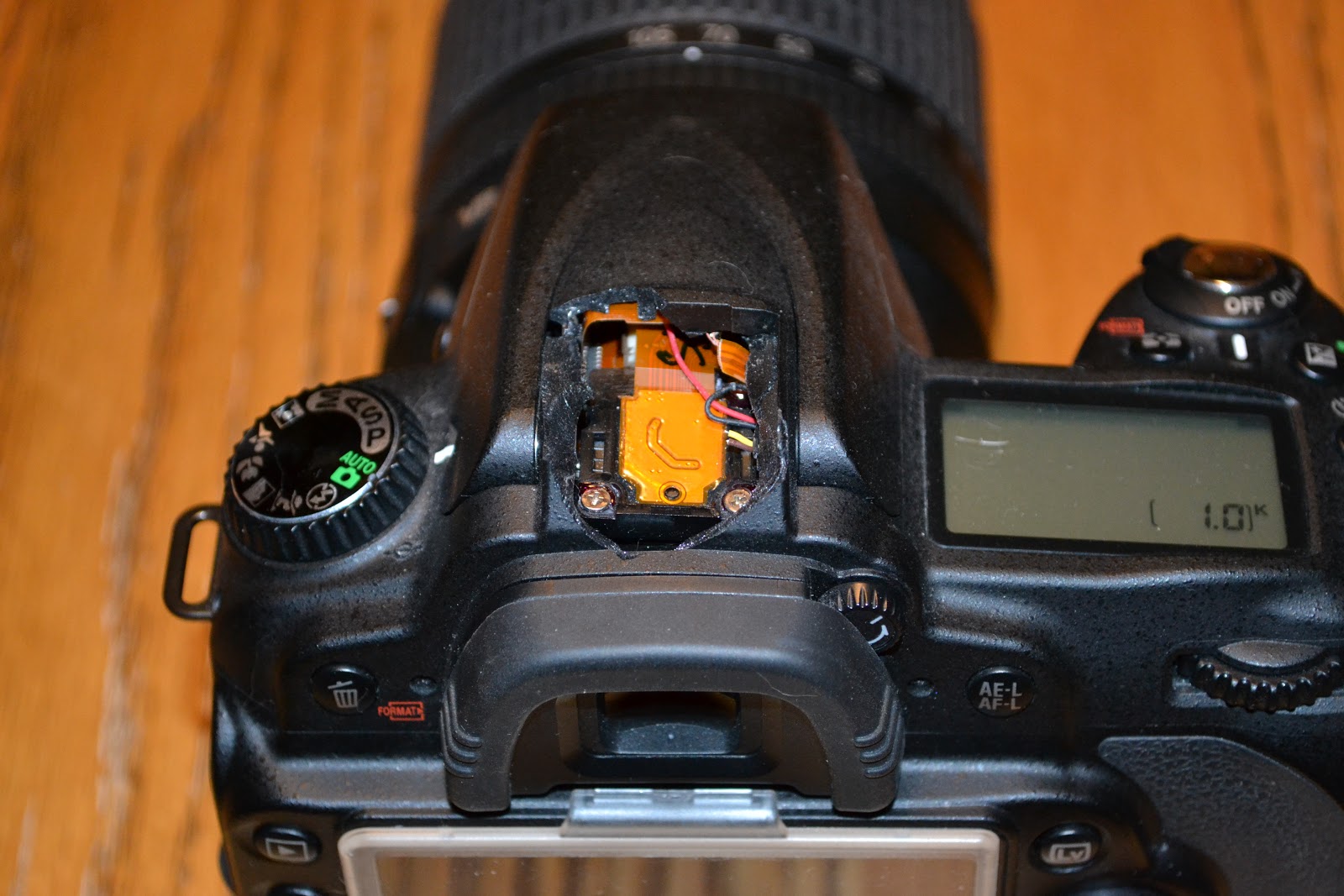 Barb's Cats and Quilts: The Dead Camera