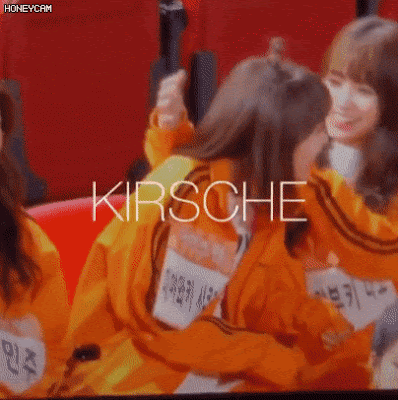 DisfiguredFalseLabradorretriever-size_re