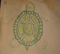 Coloured Turtle