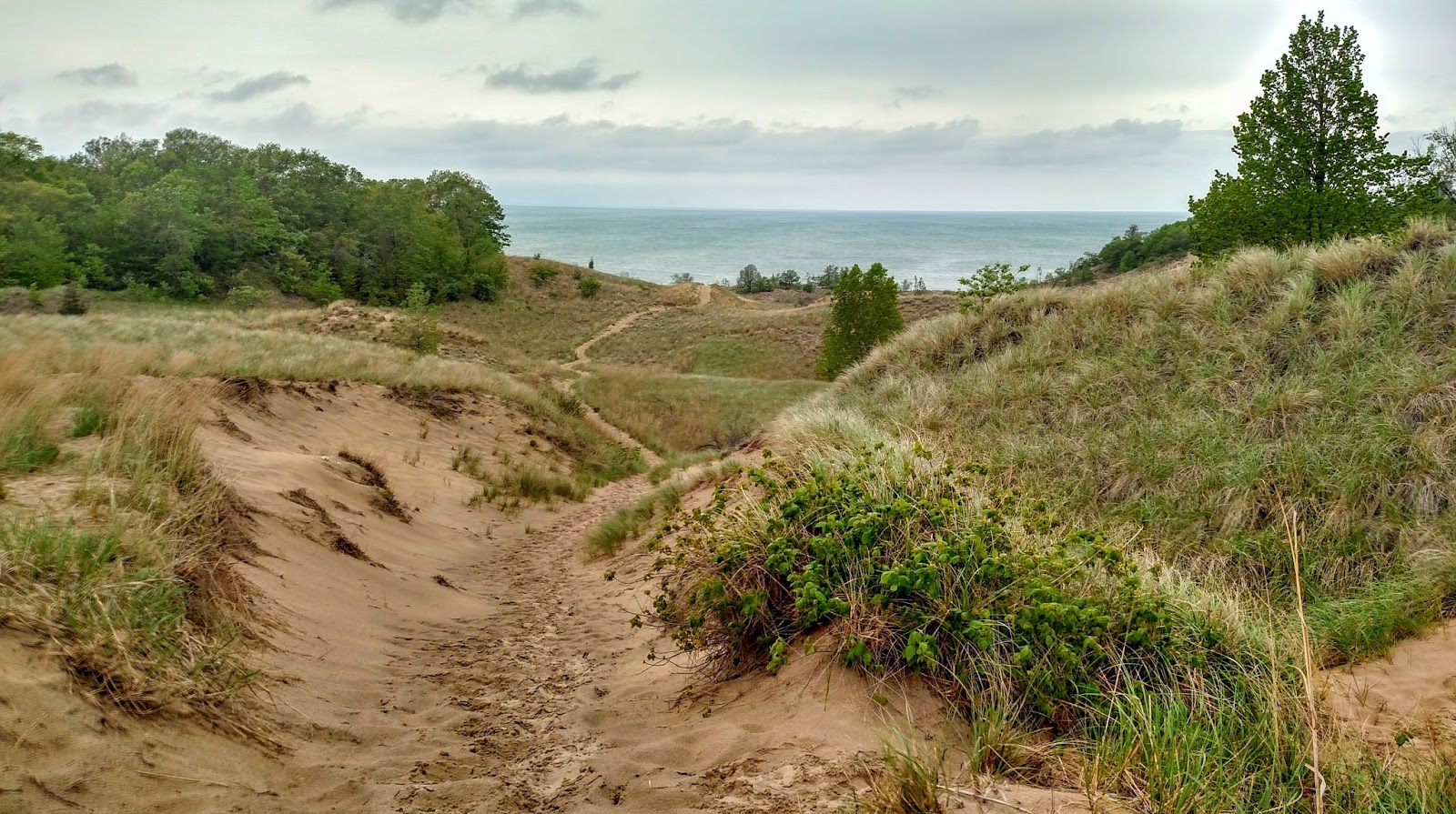 bike trails near warren dunes state park