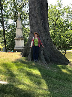 This tree is massive; very, VERY tall and wide at the ground
