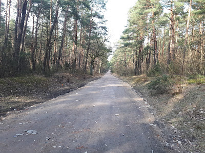 Droga Nowy Wilków - Górki w trakcie remontu