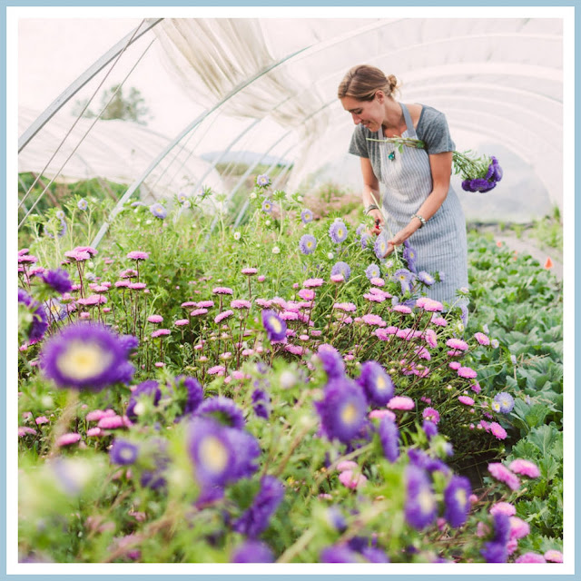 marieke nolsen Floret Flower /FarmerFlorist Collectief