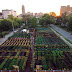 First Urban ‘Agrihood’ In America Feeds 2,000 Households For Free