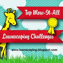 Lawnscaping Challenge 28/12/14