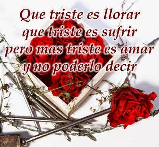 Ver las imágenes de origen