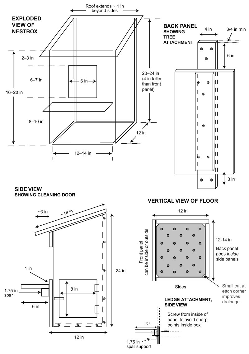 Bird In Everything: Bird Nesting Box Plans