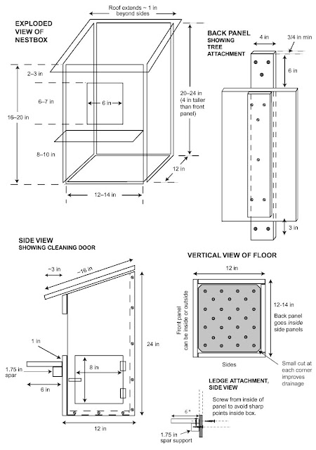Bird In Everything: Bird Nesting Box Plans