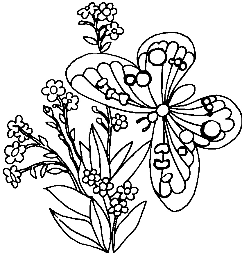 Gambar Mewarnai Kupu kupu dan bunga Terbaru | gambarcoloring