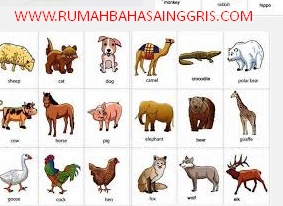 Gambar Nama  Binatang  Bahasa Inggris Arti Rumah  Gambar di 