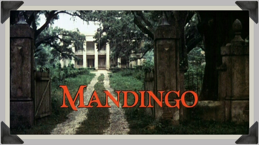 Www.mandingo Www.mandingo
