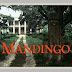 MANDINGO