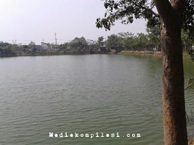 Waduk pengendali Banjir