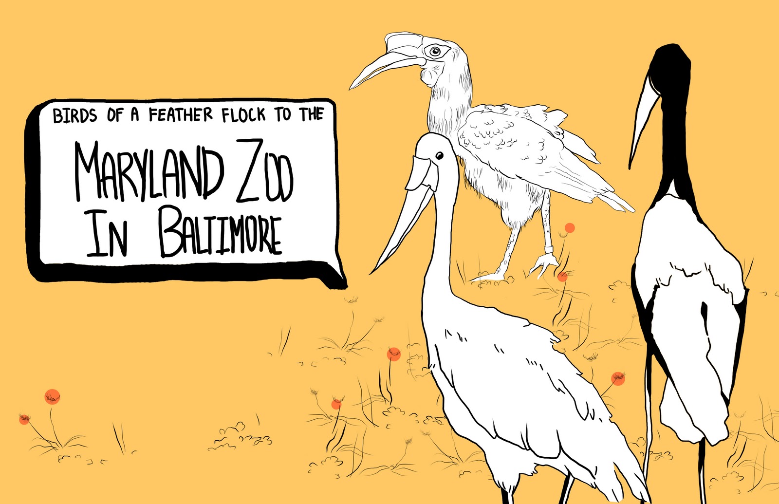 Visual Journalism Baltimore Baltimore Zoo