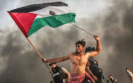 فلسطينُ في تمام العنفوان.