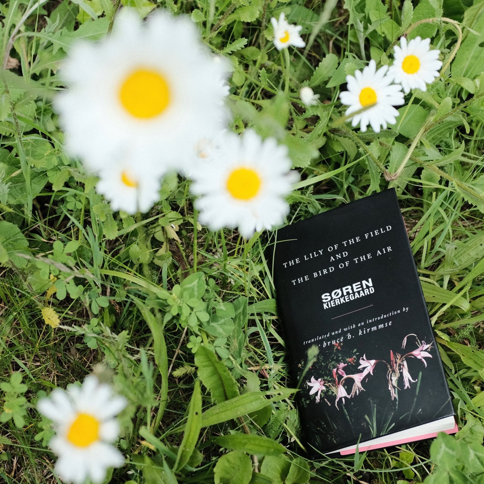 Letting Nature Point Beyond Nature — Kierkegaard's “The Lily of the