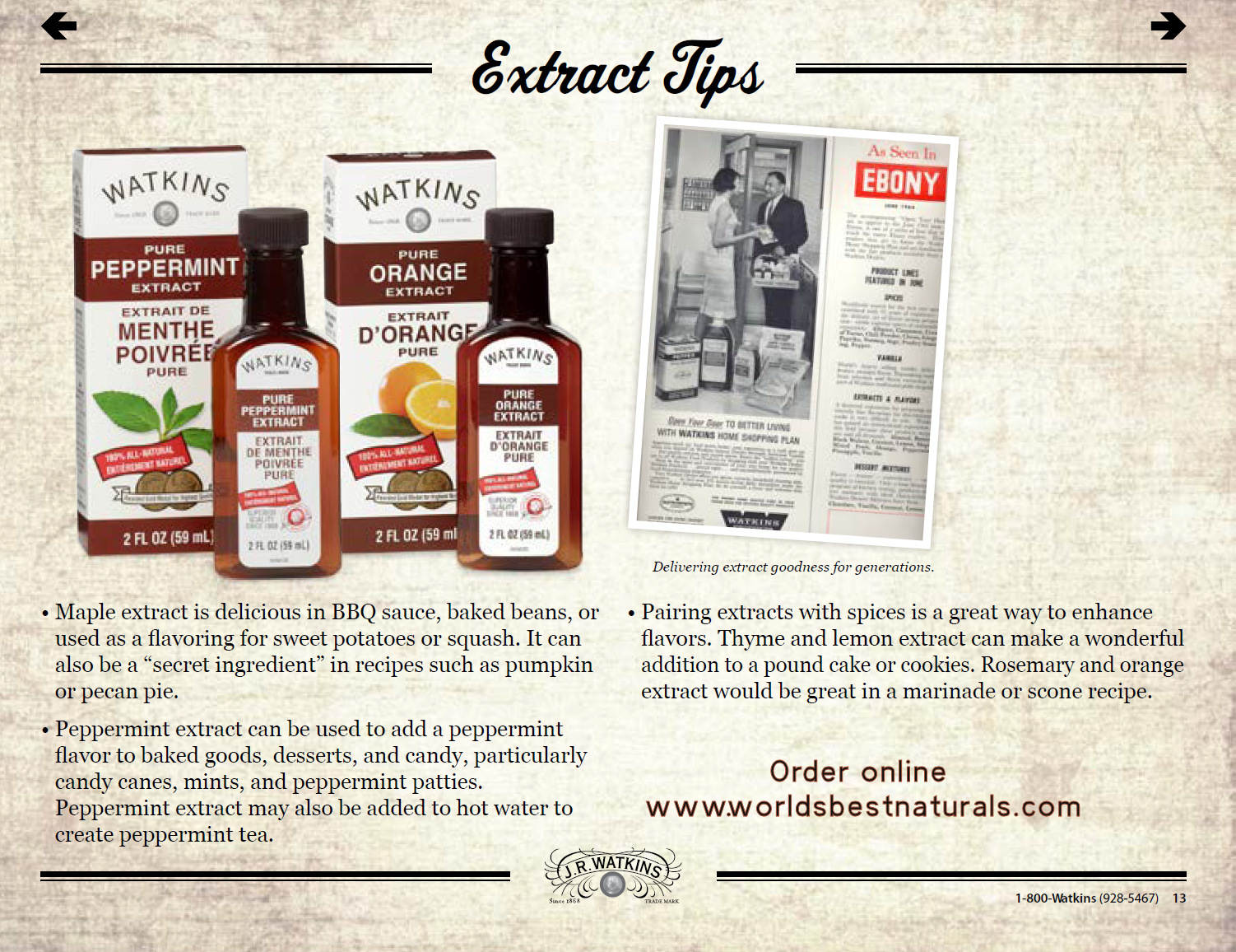 Buy Watkins Products Online JR Watkins Manager Renee Beddome