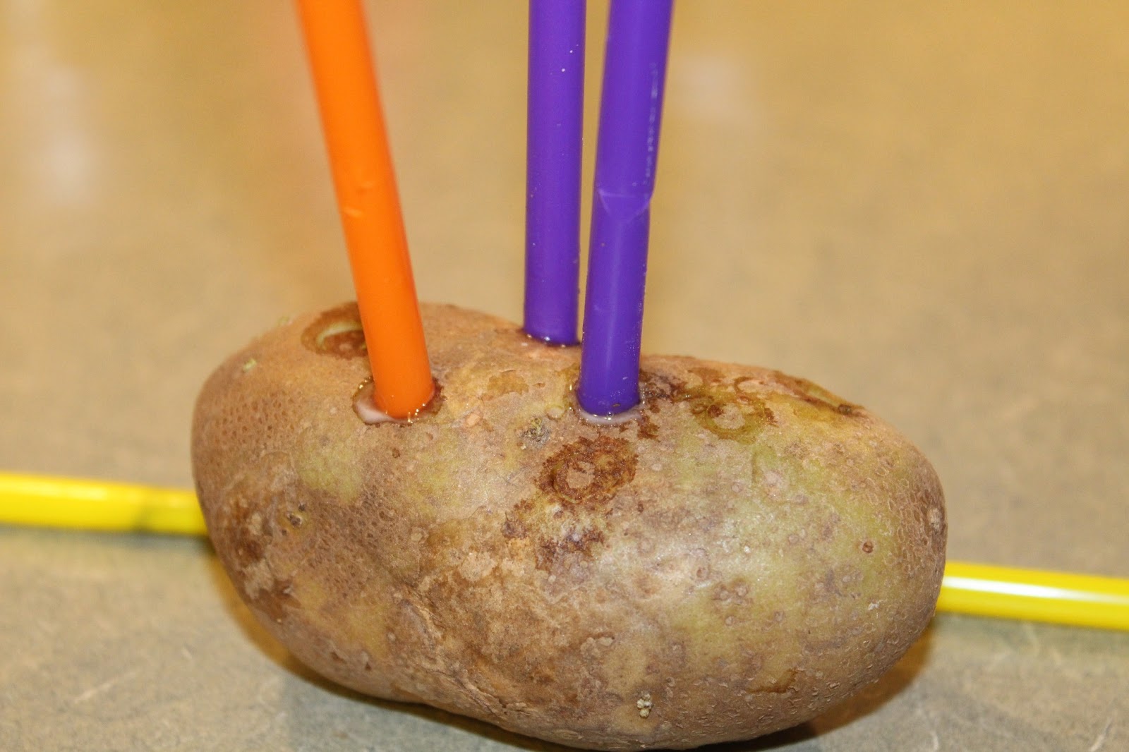 The Cool Science Dad: Stabbing a Potato