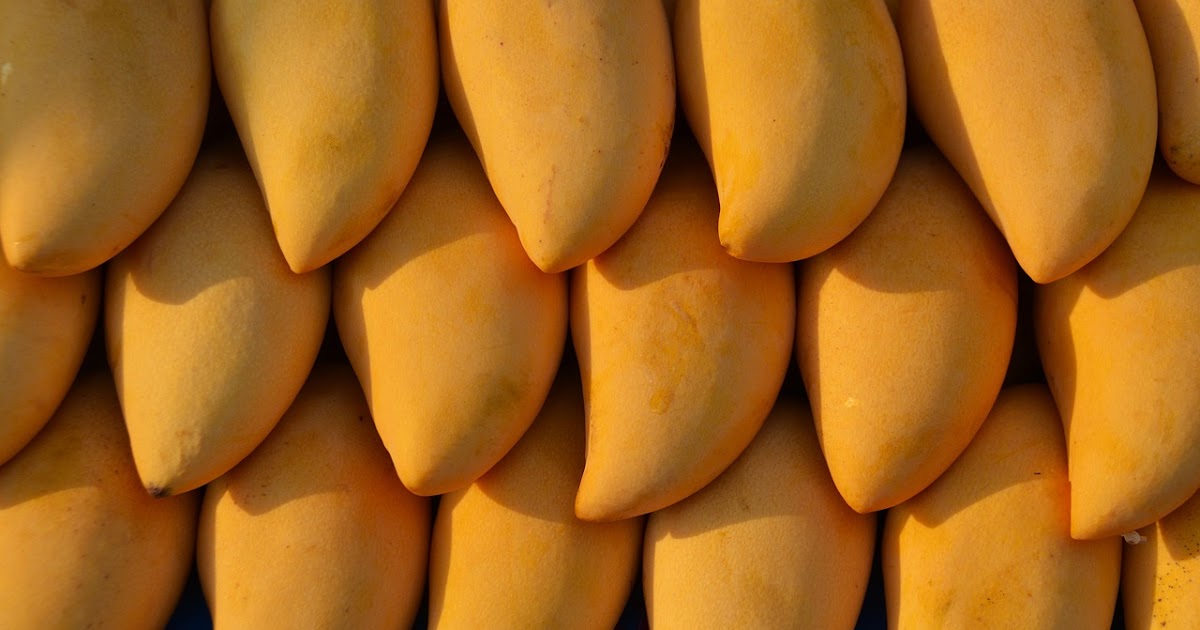 History of food 5 interesting facts about Mangoes