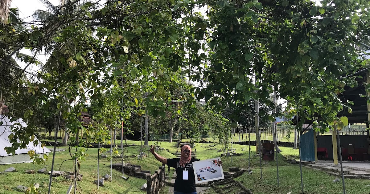 MELAKA TROPICAL FRUIT FARM : PENUH VARIASI AKTIVITI 'FARM STAY'