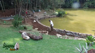Bizzarri fazendo o acerto de terra no muro de pedra em volta do lago onde vamos fazer a execução do caminho de pedra com cacão de São Tomé e a execução do paisagismo. 20 de fevereiro de 2017.