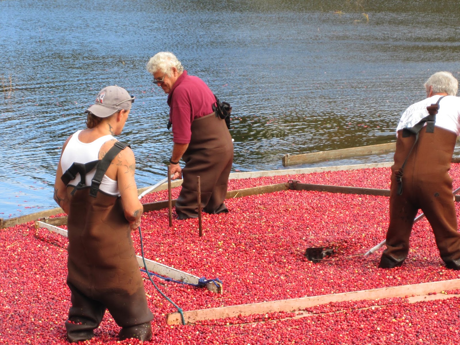 Selvage Blog Pincushion Give Away! And a Virtual Trip to Cape Cod