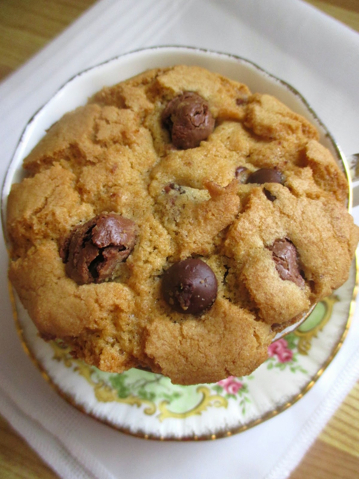 Hot and Cold Running Mom Just my Stuff Chocolate Covered Raisin Cookies