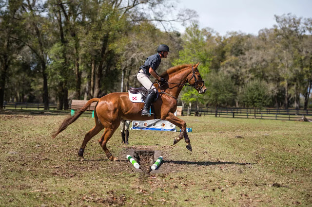 Horse jumping a ditch Horse jumping a ditch