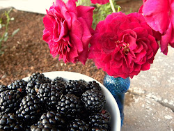 Roses & Blackberries