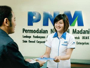 PT PNM (Persero)