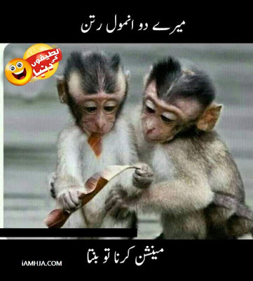 Jokes in Urdu