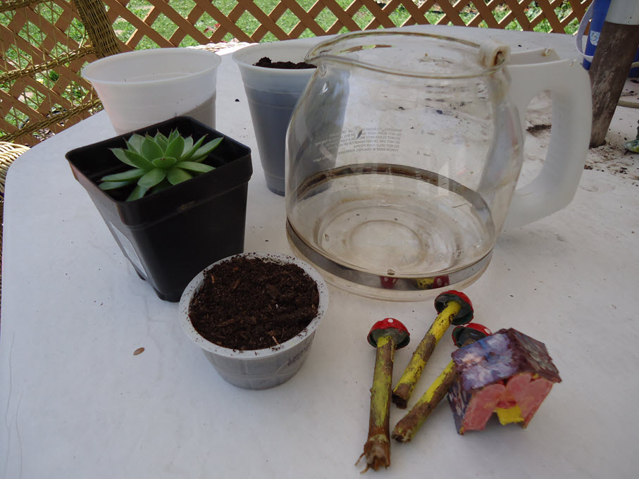 DIY Terrarium Using an Old Coffee Pot Tropical Mom's Day Off