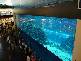 Aquário dentro do Dubai Mall Aquário dentro do Dubai Mall