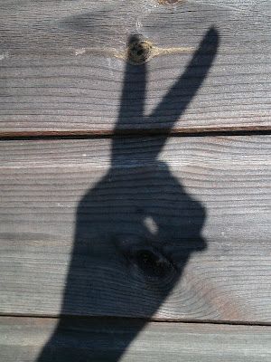 shadow bunny