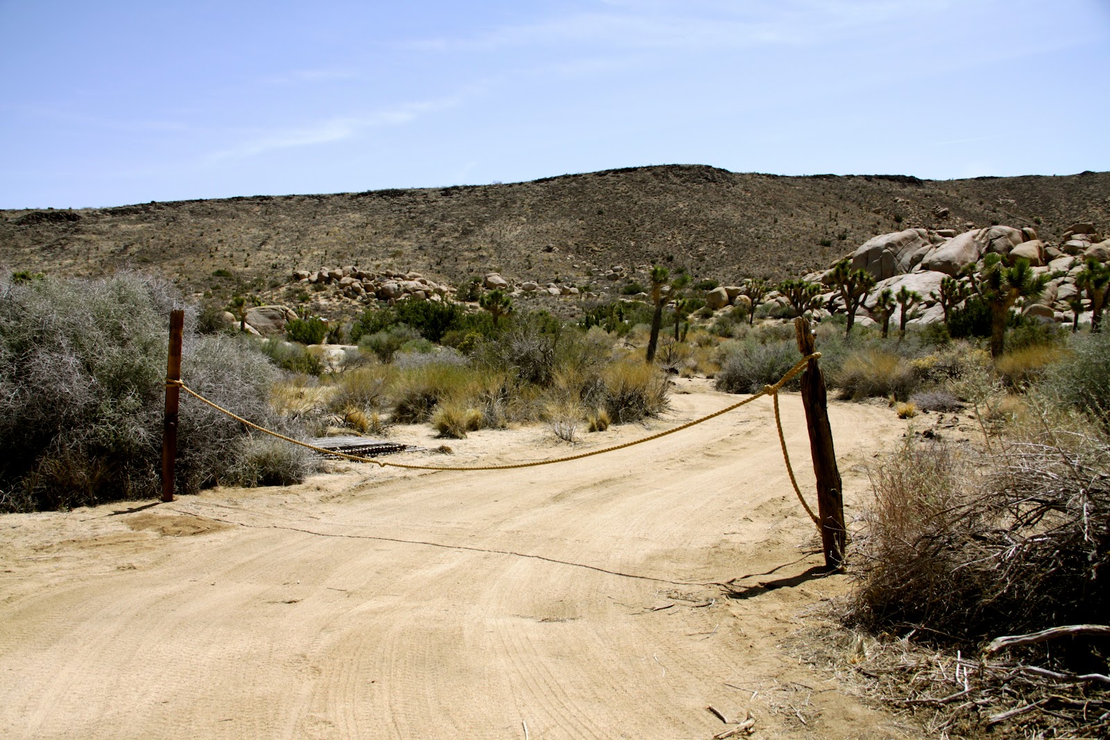 my-scenic-byway-desert-house-is-taking-shape