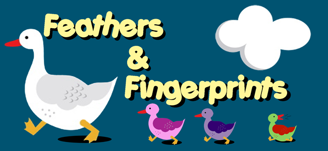 Feathers and Fingerprints