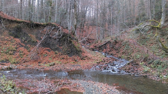 Drugi dzień w Bieszczadach