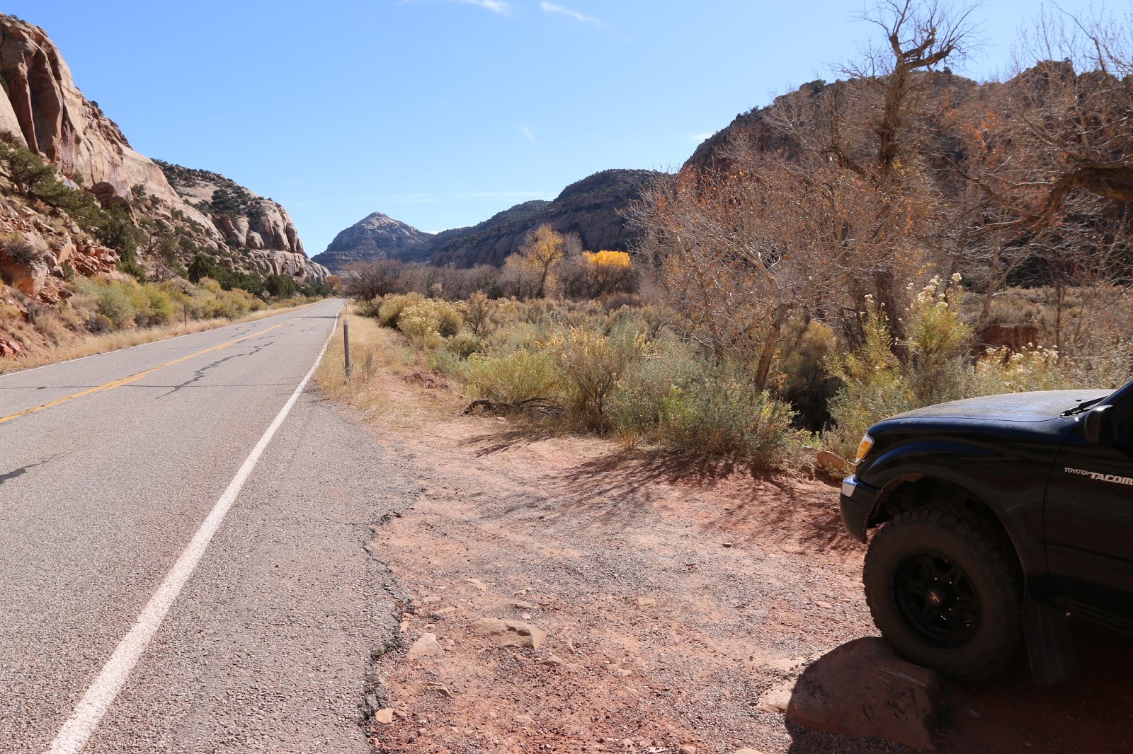 Shay Canyon Petroglyphs