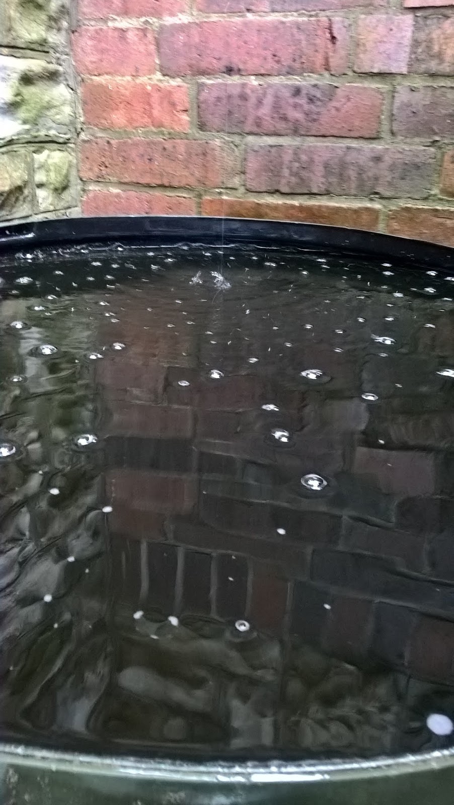 Der Tag Als Der Regen Kam Der Tag Als Der Regen Kam