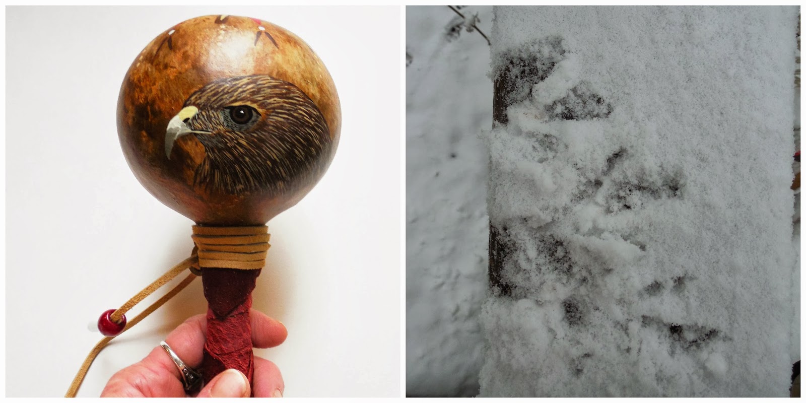 Conscious Art Studios Red Tailed Hawk His Spirit and Symbolic Meaning