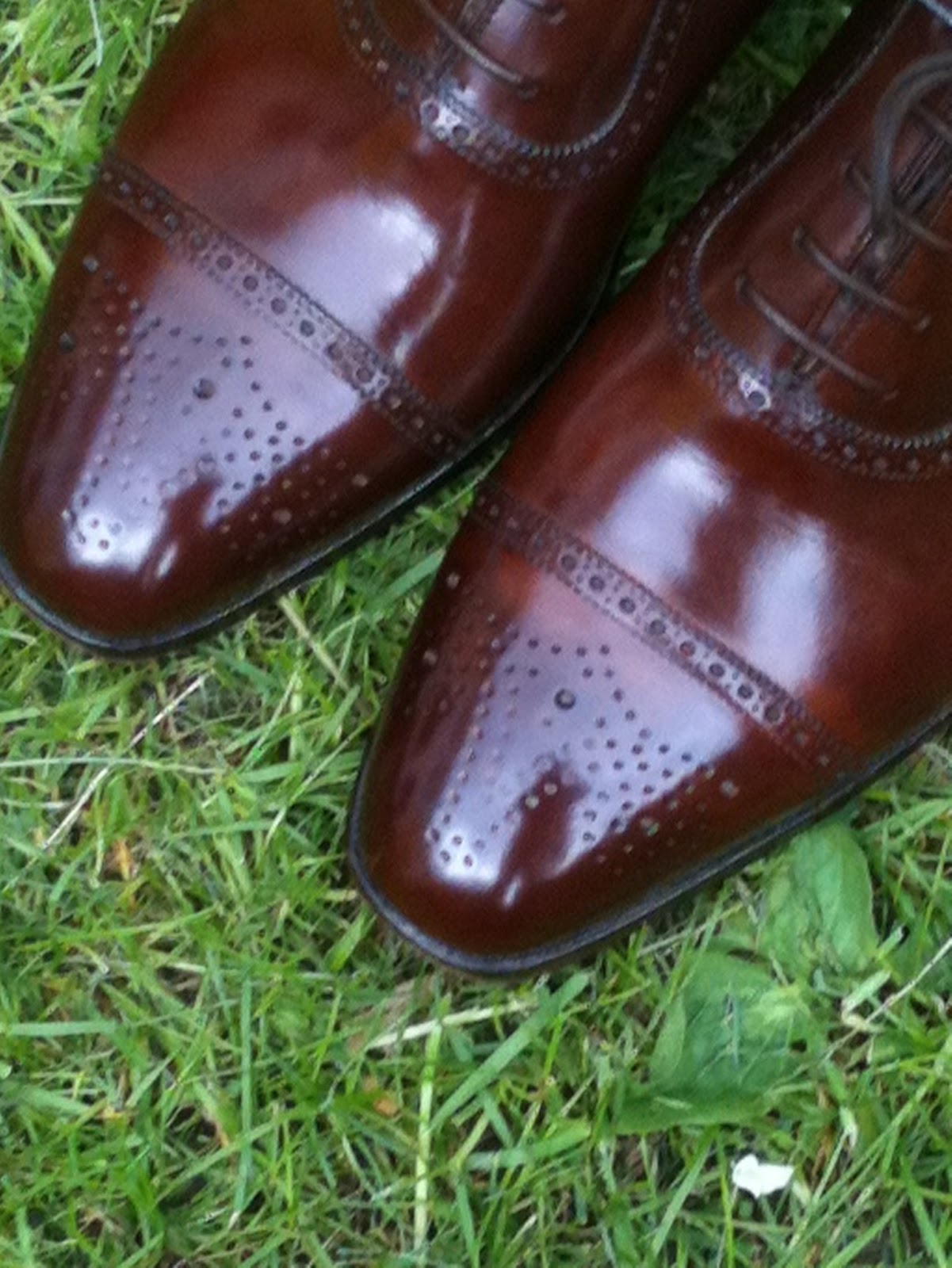 The Shoe AristoCat An Adelaide Oxford by GJ Cleverley RTW Adelaide