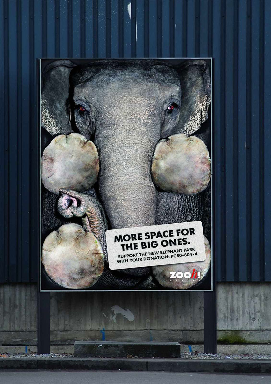 Zurich Zoo: More Space For The Big Ones - Zooh!