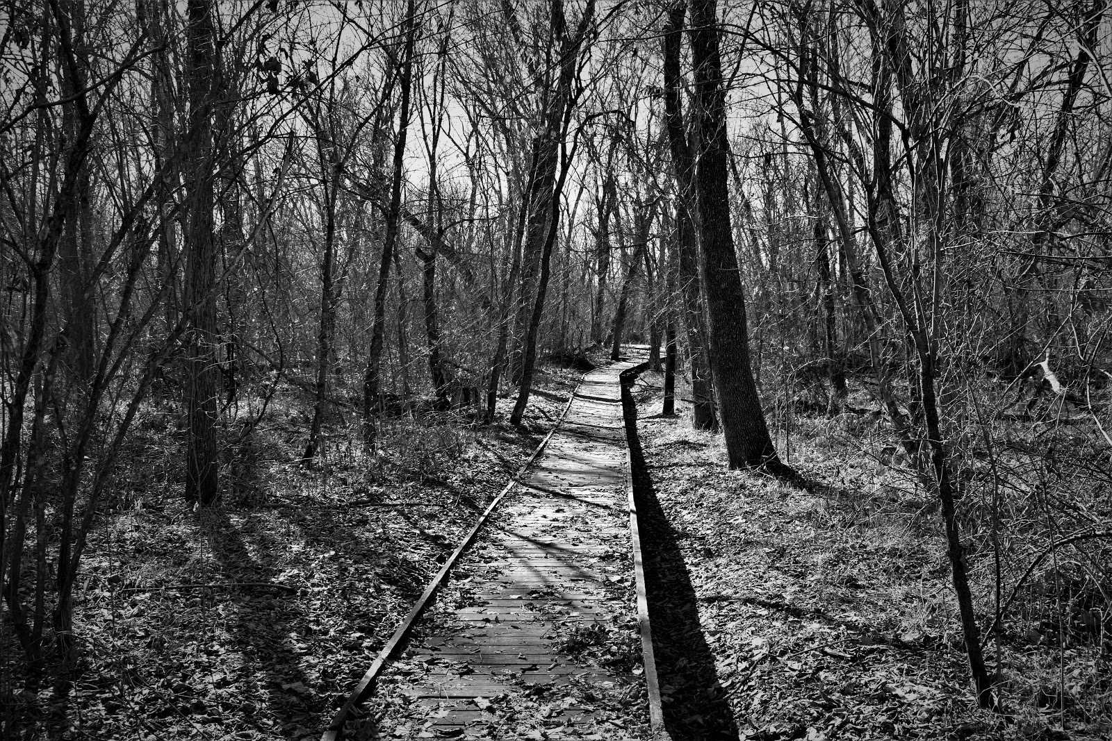 Pershing State Park and Laclede, MO