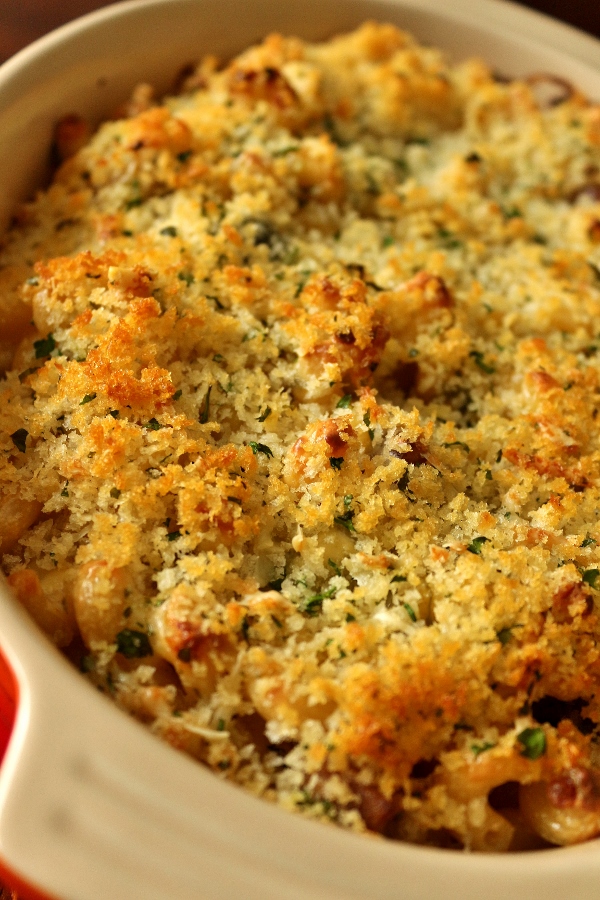 Food Mac And Cheese Recipe Cheddar Single Food Mac And Cheese Recipe Cheddar Single