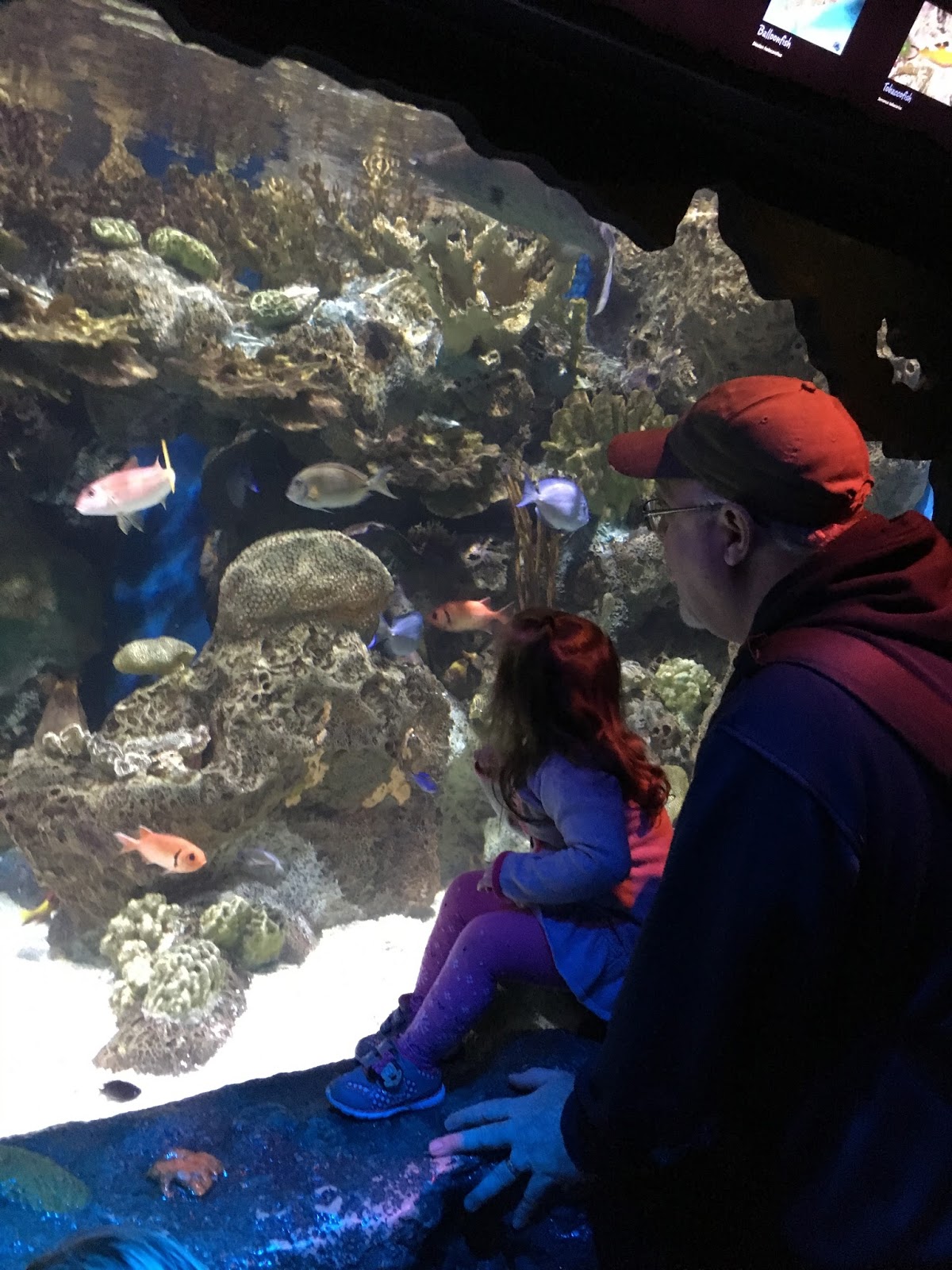 A Journey into the Past New Jersey State Aquarium