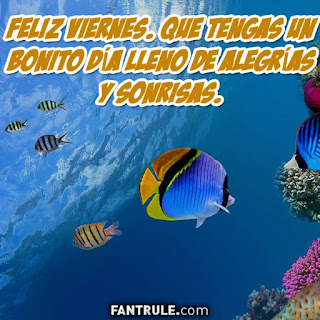 imagenes feliz viernes hola buen viernes frases gif