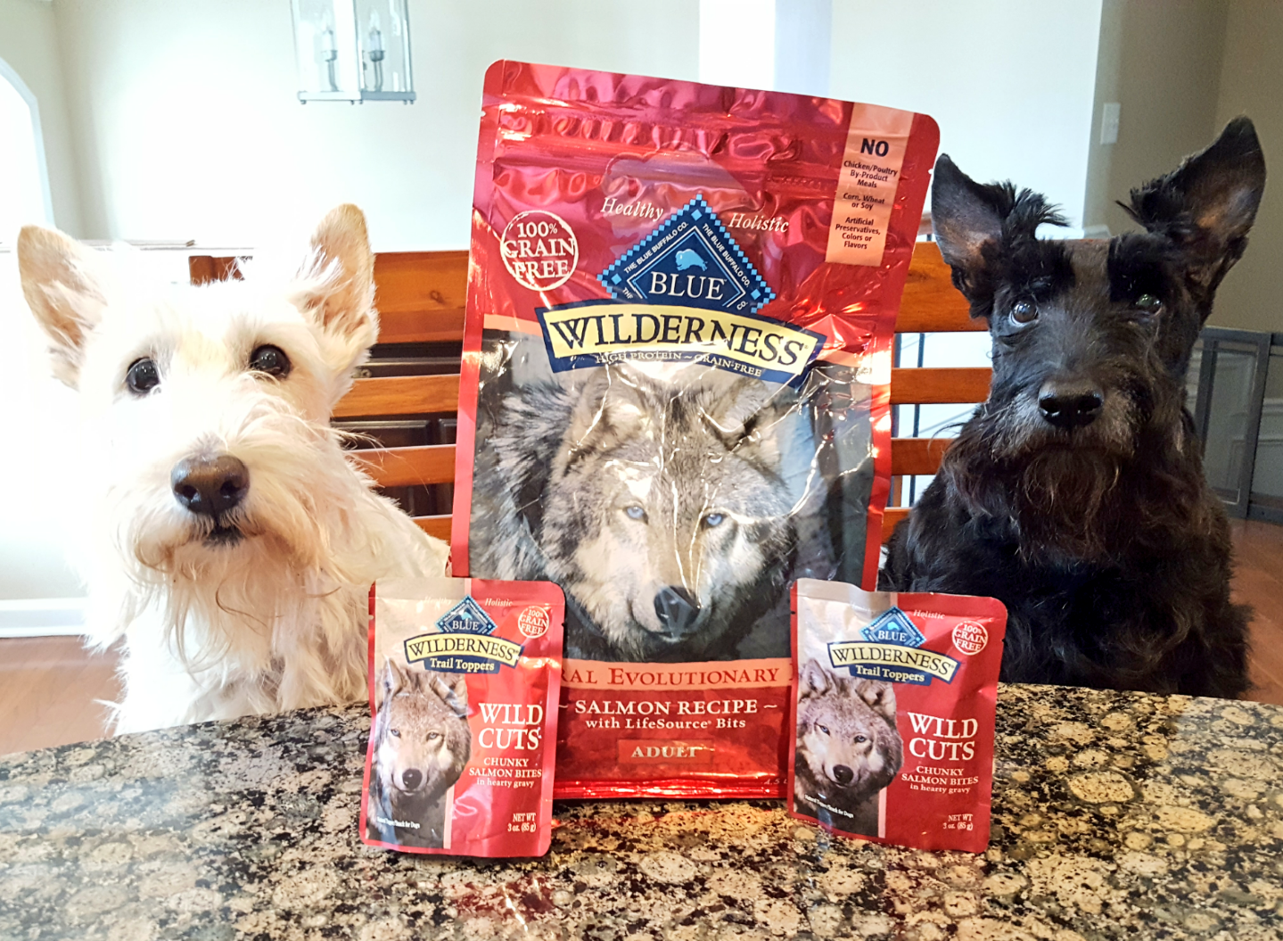 What Type Of Dog Food Is Best For Scotties