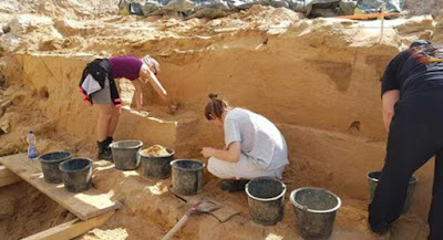 В Германия са намерени зъби на хоминид на 9.7 милиона години The-fossilized-teeth