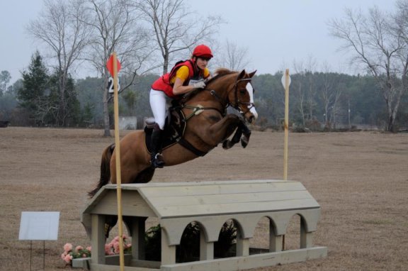 Behind the Bit: A Horse of a Different Color: Little Big Man | Eventing ...